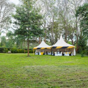 tent wedding weddings grand wedding Mount Kenya Mt. Kenya Mt Kenya Garden Gardens